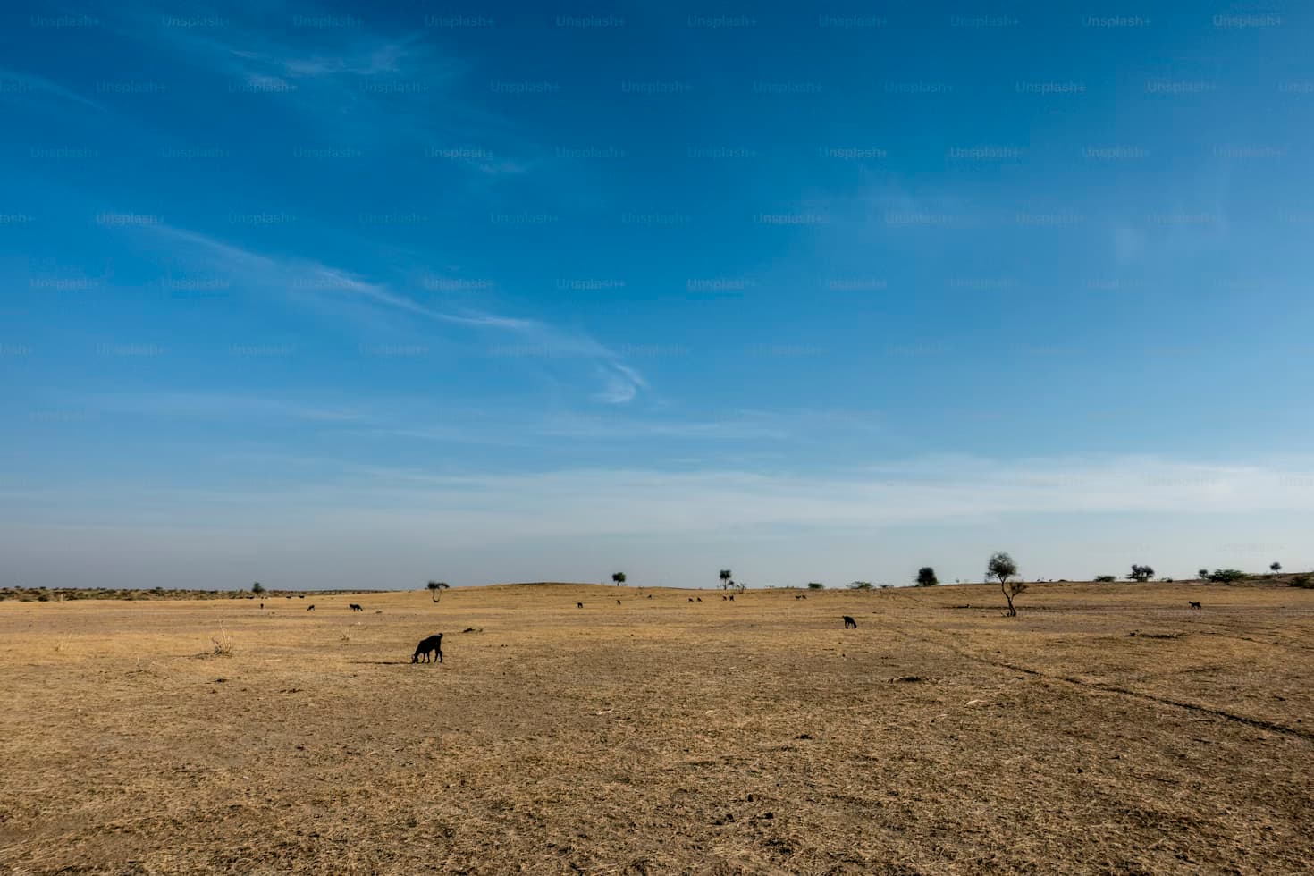 Plots for Rent Service in Aligarh Plots for Rent Service in Aligarh